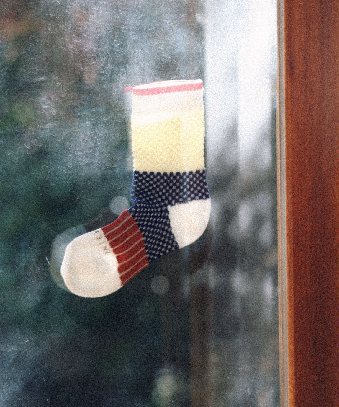 BORDER MESH SOCKS