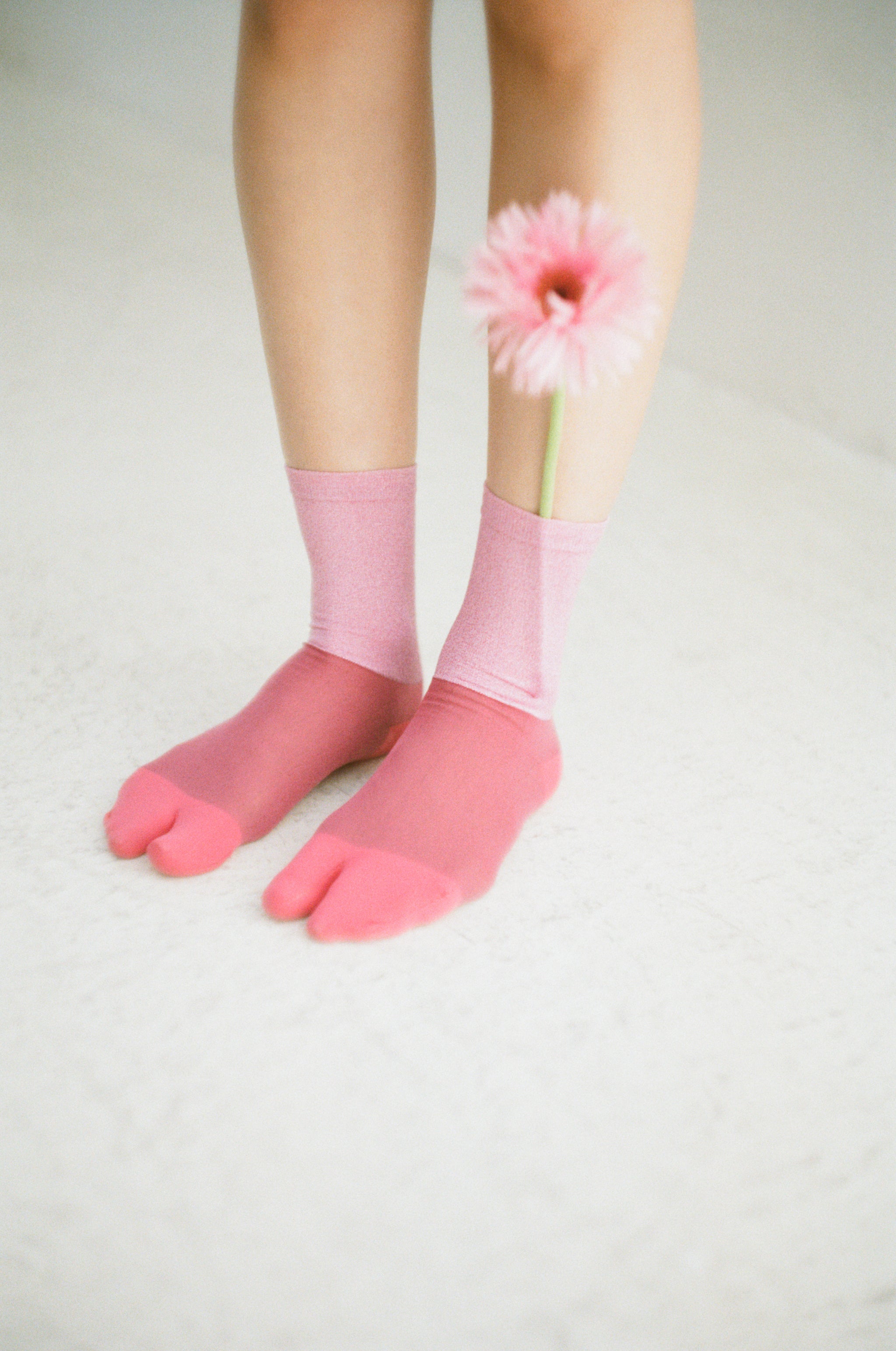 COLOUR TABI SOCKS