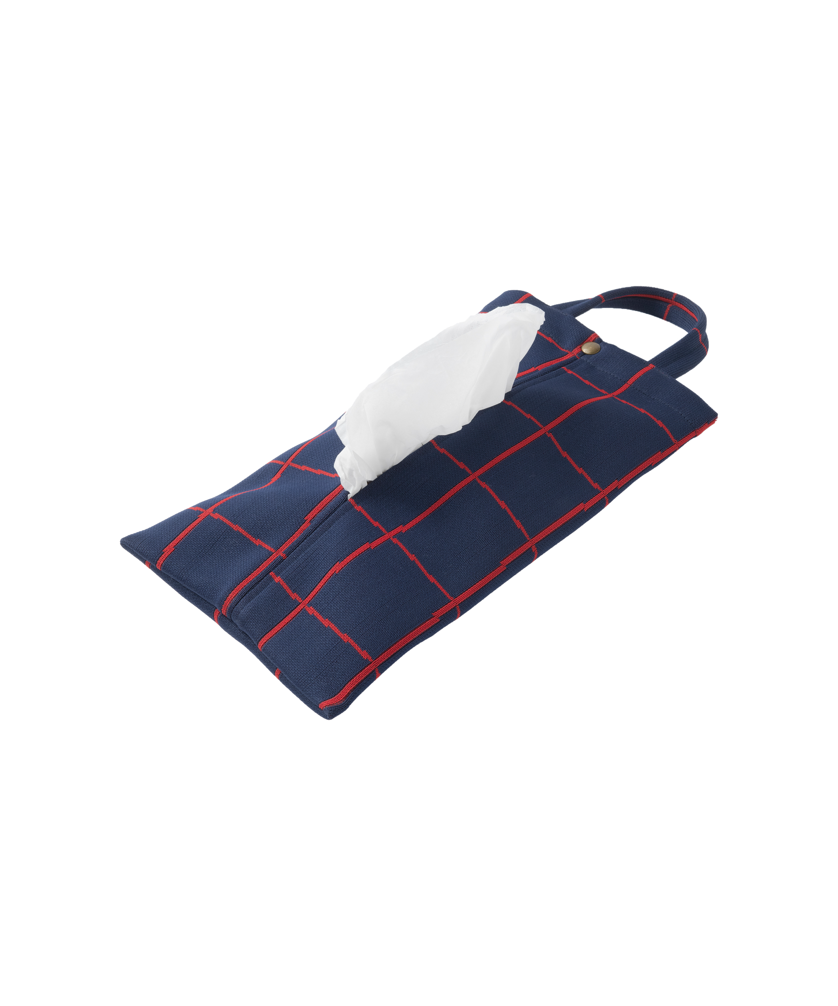 GRID TISSUE CASE